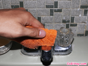 Sen vòi inox gật gù tẩy trắng