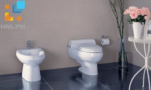 Bồn cầu viglacera mang đến không gian đẹp và sang trọng