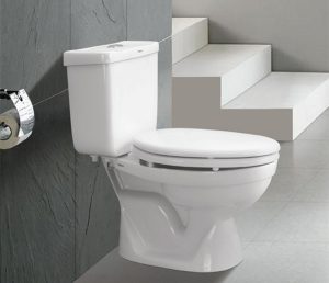 Có nên sử dụng bồn cầu 2 khối Viglacera trong không gian nhà mình không