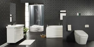 Top 10 mẫu thiết bị vệ sinh cao cấp Viglacera năm 2018