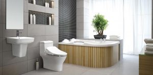 Thiết bị vệ sinh viglacera