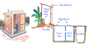 Xây nhà vệ sinh tự hoại hết bao nhiêu tiền?