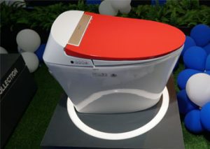 thiết bị vệ sinh viglacera sang trọng độc đáo