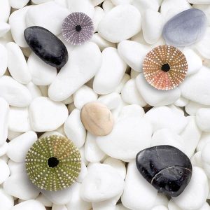 8 mẫu gạch lát nền nhà tắm 3D