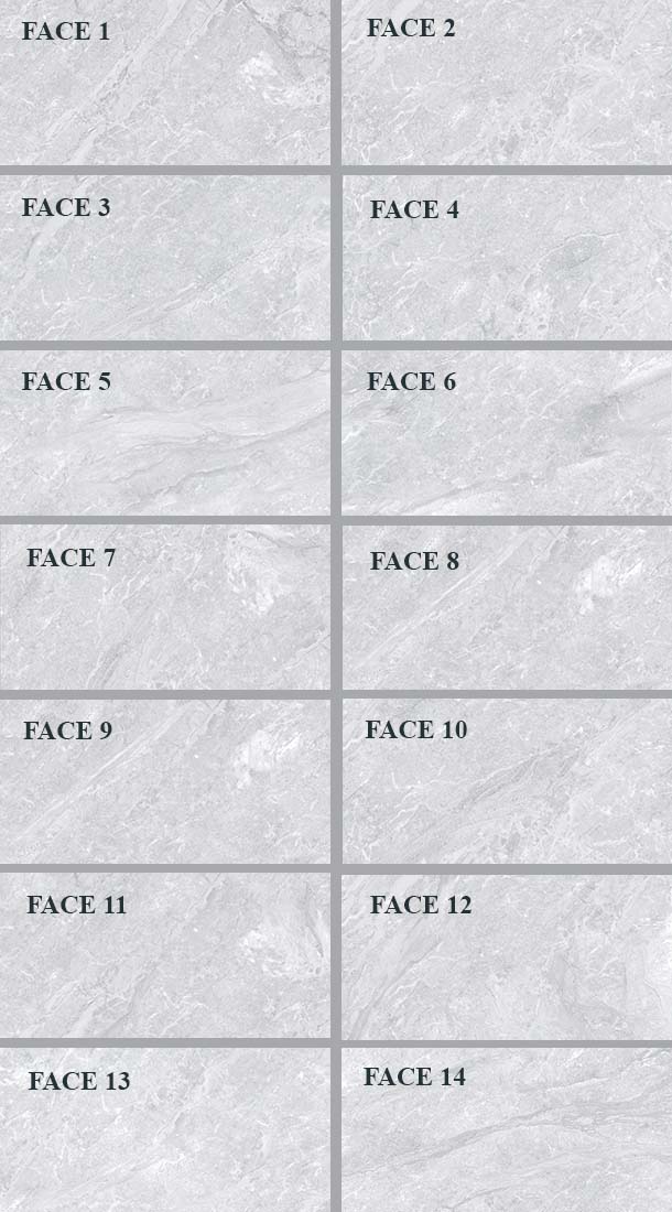 Face gạch ốp tường Viglacera ECO-3636