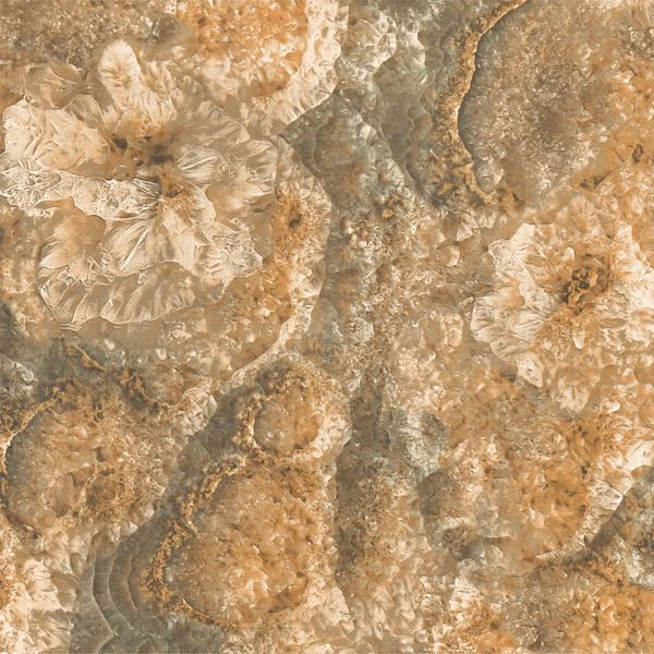 Gạch lát nền Viglacera UB 6605
