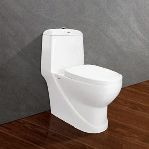 Bon cau Viglacera V38