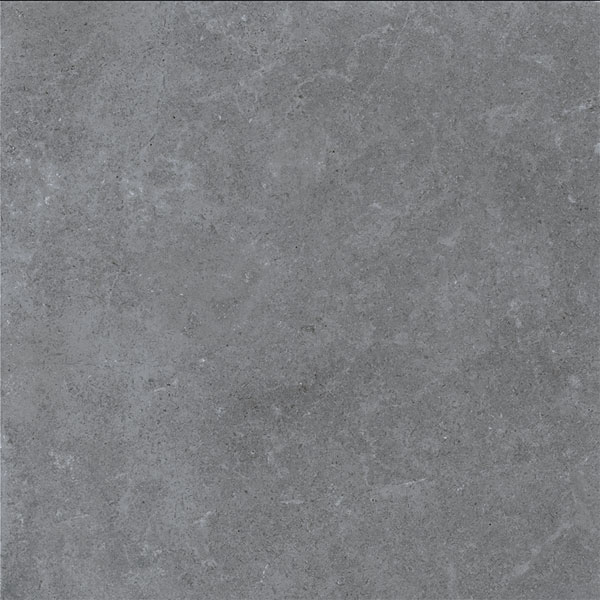Gạch lát nền Viglacera Platinum PT 20-G6605